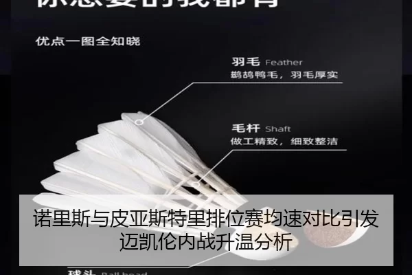 诺里斯与皮亚斯特里排位赛均速对比引发迈凯伦内战升温分析